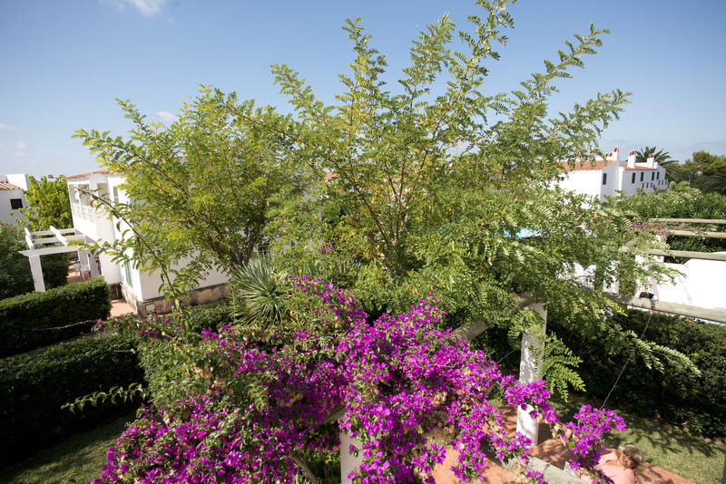 Apartamentos Sa Caleta Dış mekan fotoğraf